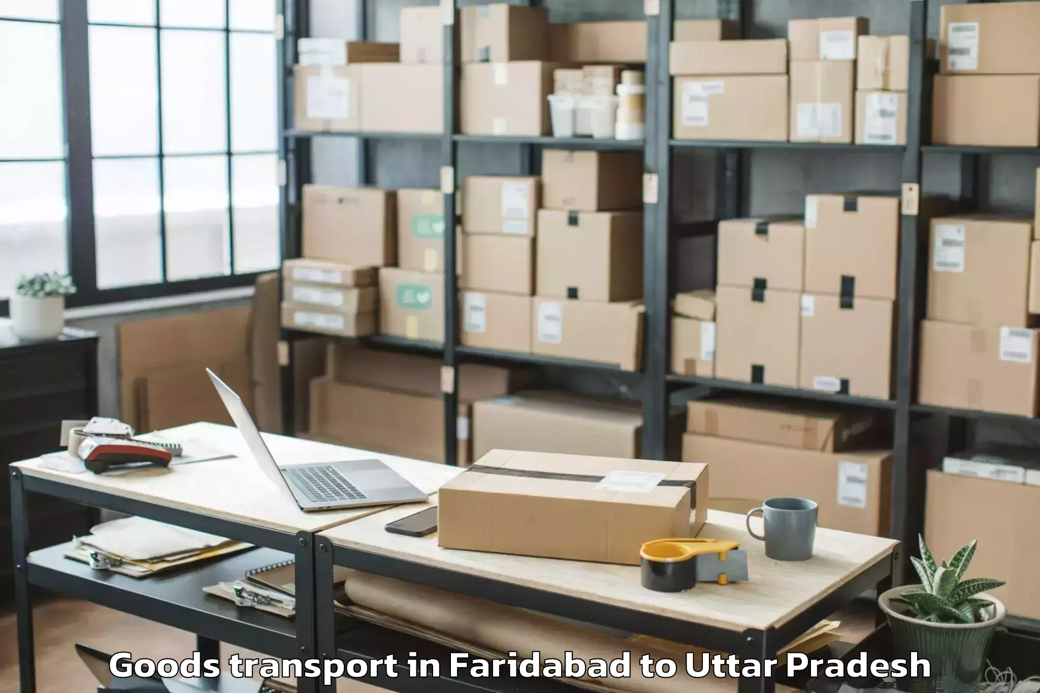 Book Faridabad to Kulpahar Goods Transport